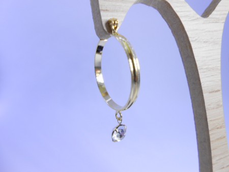 Argola com strass - AR001